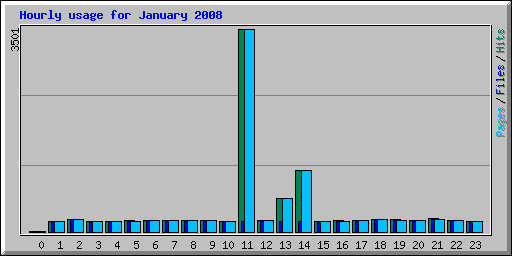 Hourly usage for January 2008